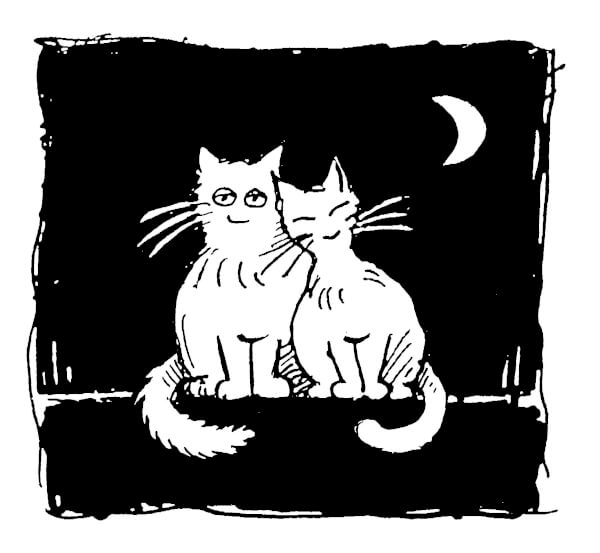 Stichting Zwerfkatten Rijnmond