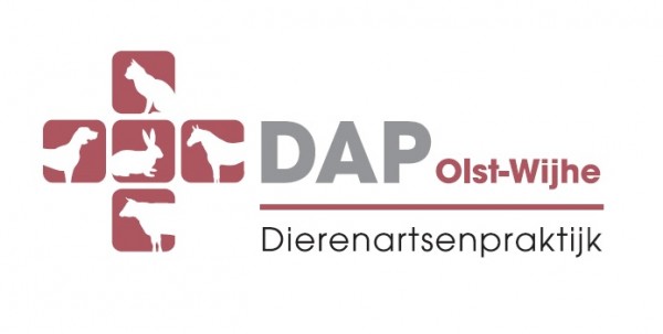 DAP Olst Wijhe