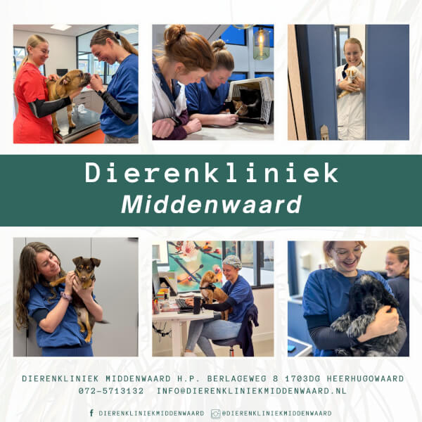 Dierenkliniek Middenwaard