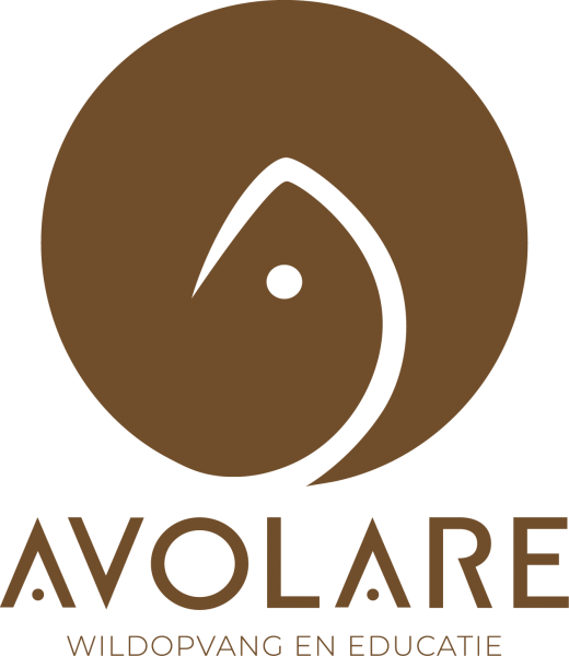 Stichting Avolare