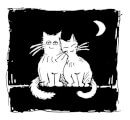 Stichting Zwerfkatten Rijnmond