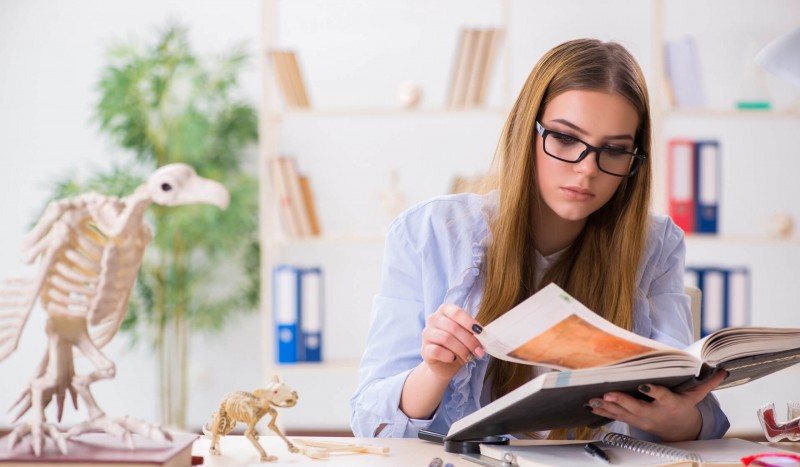 Herregistratie dierenarts: Een stap voorwaarts?
