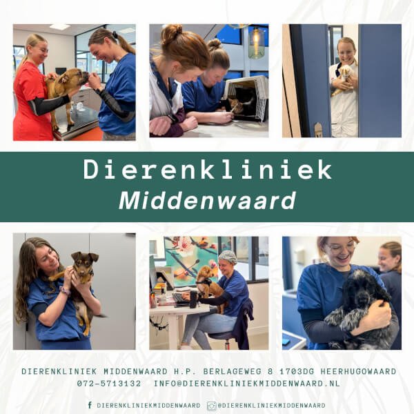 Dierenkliniek Middenwaard